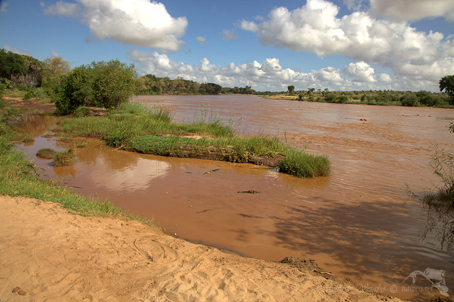 N&aacute;rodn&iacute; park Tsavo v&yacute;chod -Tsavo East 